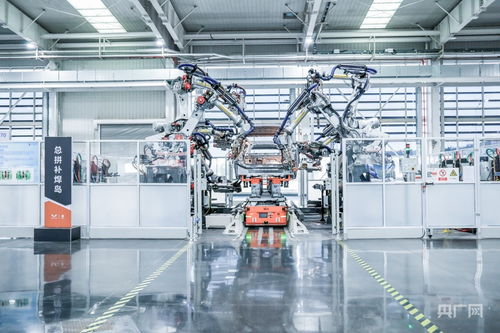 “十五五”啟新程 向新向智，機器人解鎖產業新賽道